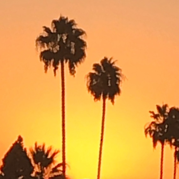 Meet your Posher, Mai - Picture 1 of 1